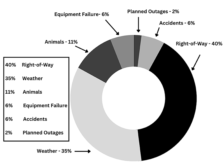 photo for What Causes Your Power Outages?